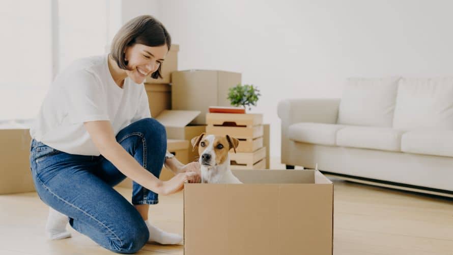 moving-house-with-pets